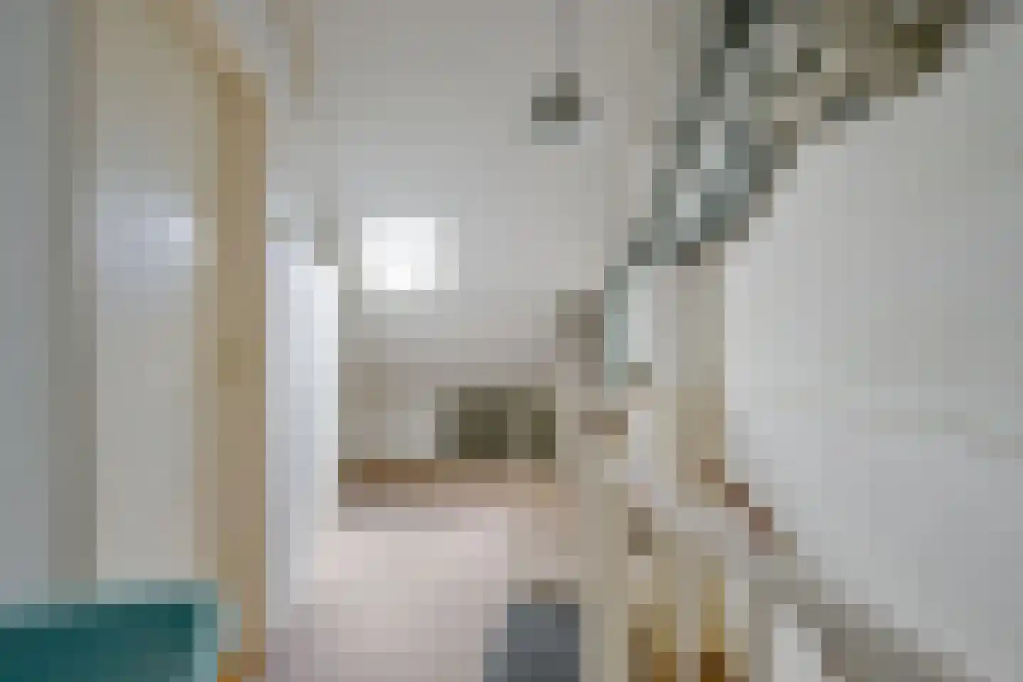 Rembrandtlaan 68 Schagen thumbnail 34