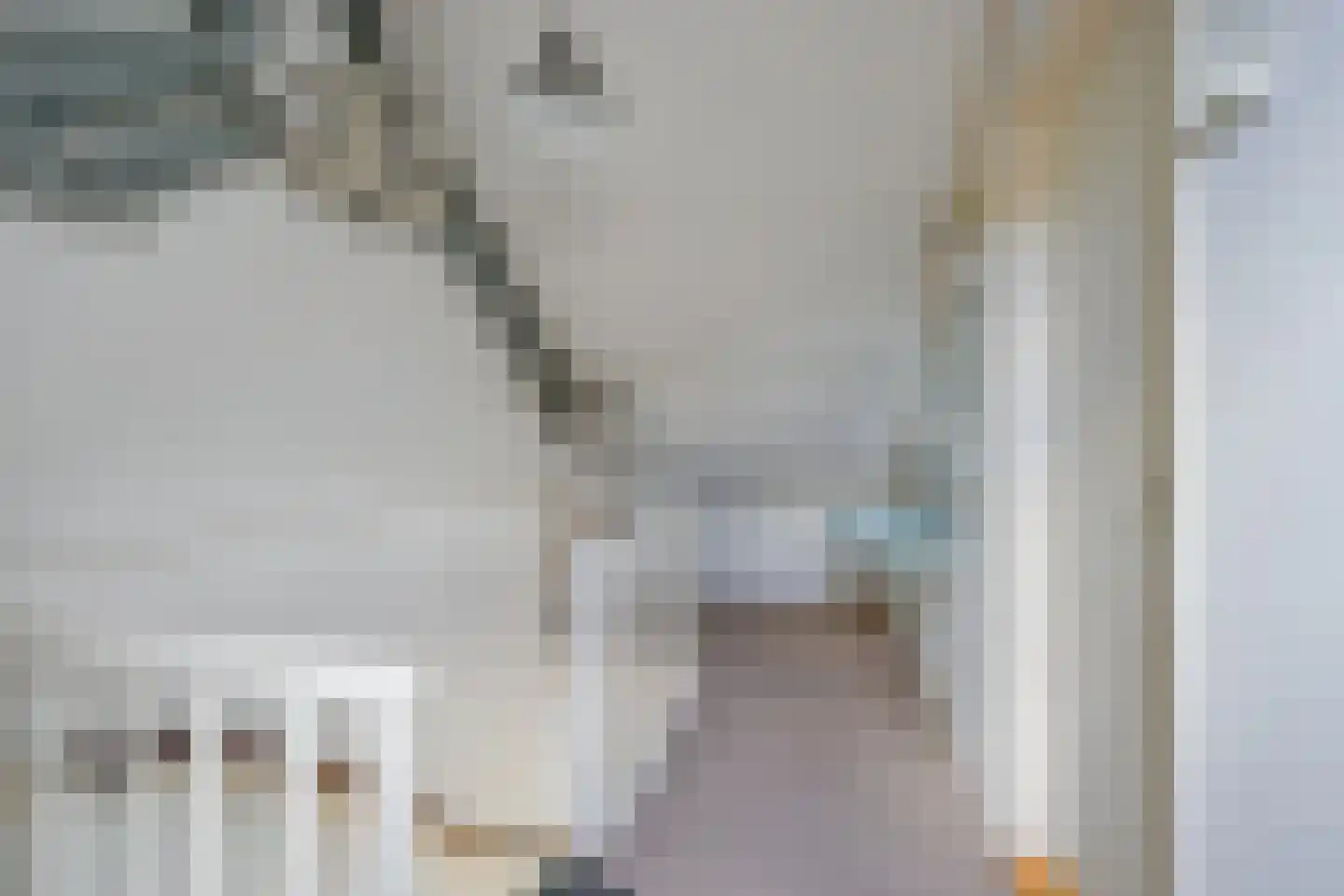 Rembrandtlaan 68 Schagen thumbnail 38