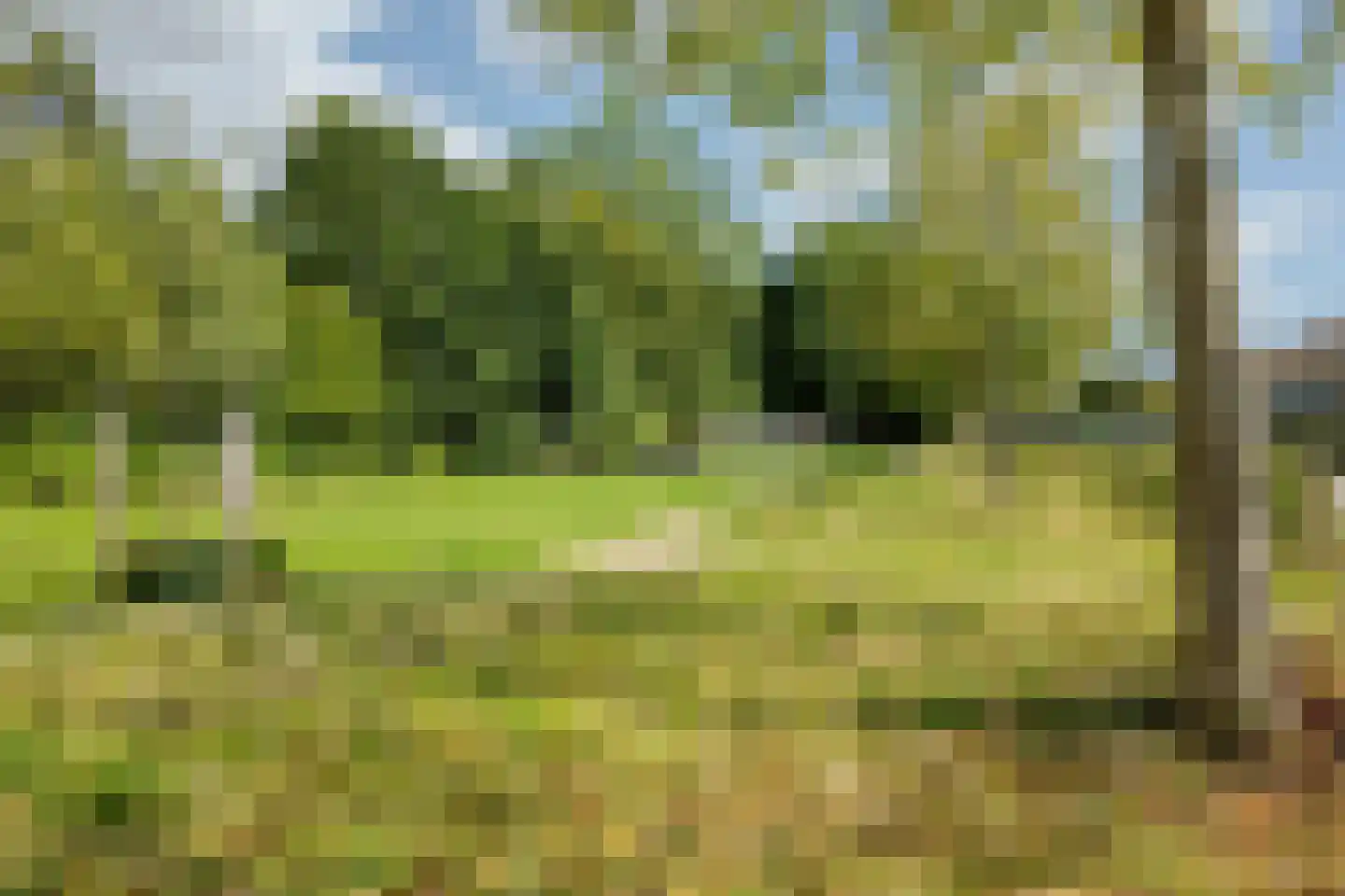 Rembrandtlaan 68 Schagen thumbnail 45