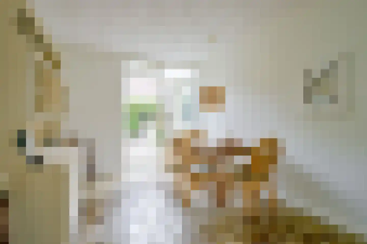 Rembrandtlaan 68 Schagen thumbnail 9