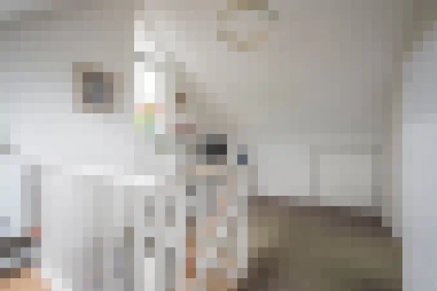 Rembrandtlaan 69 Nijkerk thumbnail 28