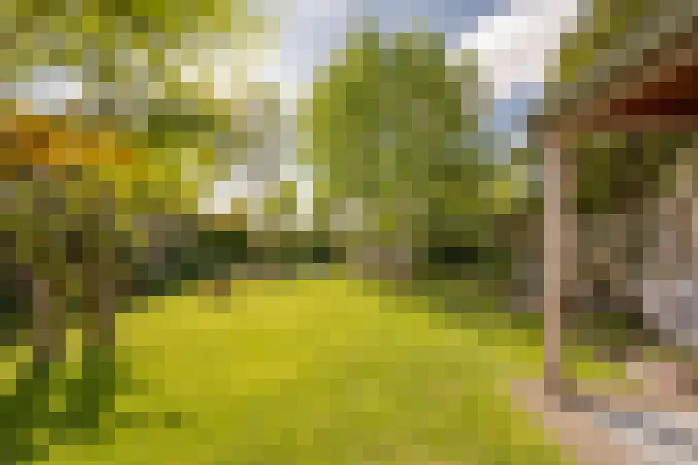 Rembrandtlaan 69 Nijkerk thumbnail 35