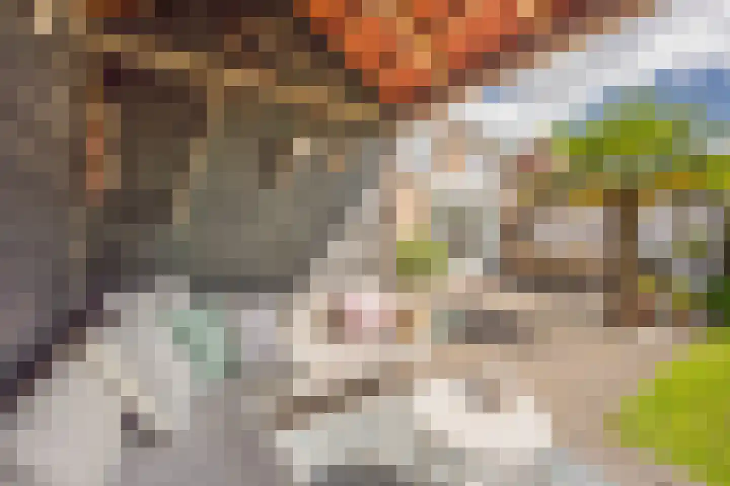 Rembrandtlaan 69 Nijkerk thumbnail 36