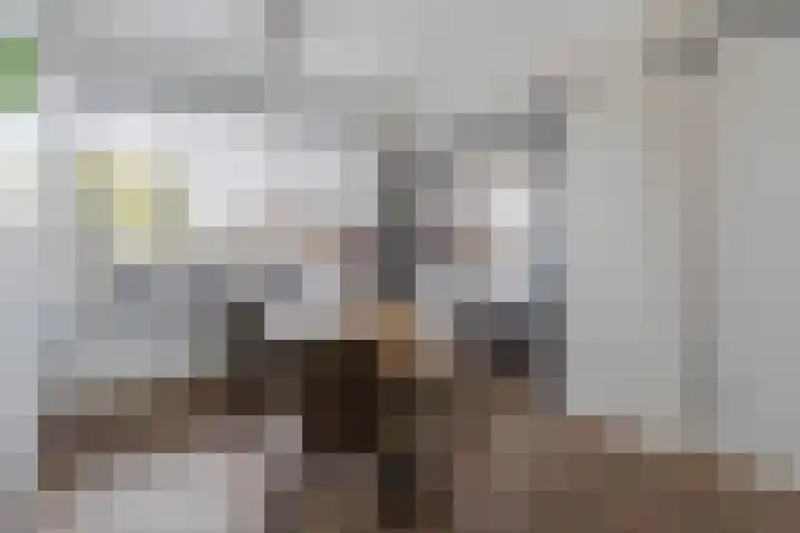 Rembrandtlaan 7 Hazerswoude-Dorp thumbnail 6