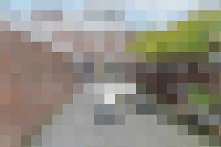 Rembrandtlaan 7 Hazerswoude-Dorp thumbnail 8