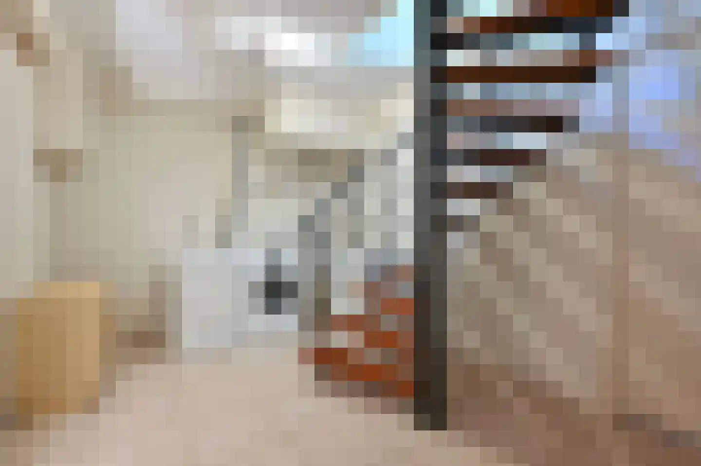 Rembrandtlaan 7 Huizen thumbnail 19