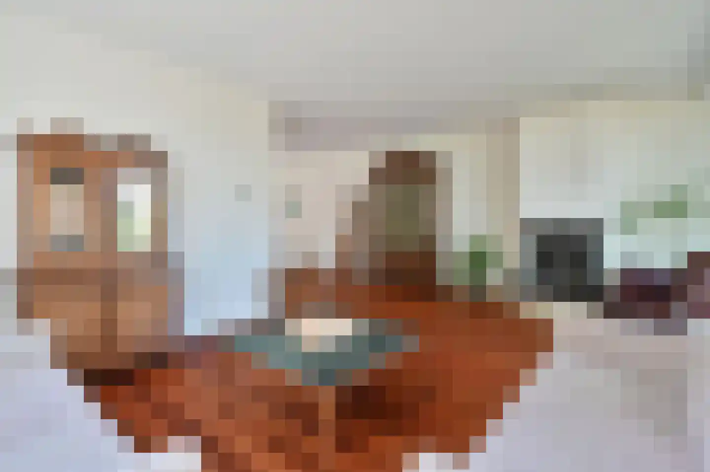 Rembrandtlaan 7 Huizen thumbnail 6