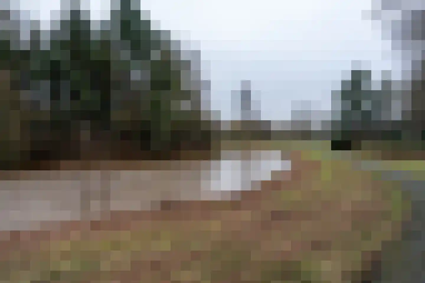 Rembrandtlaan 7 Musselkanaal thumbnail 36