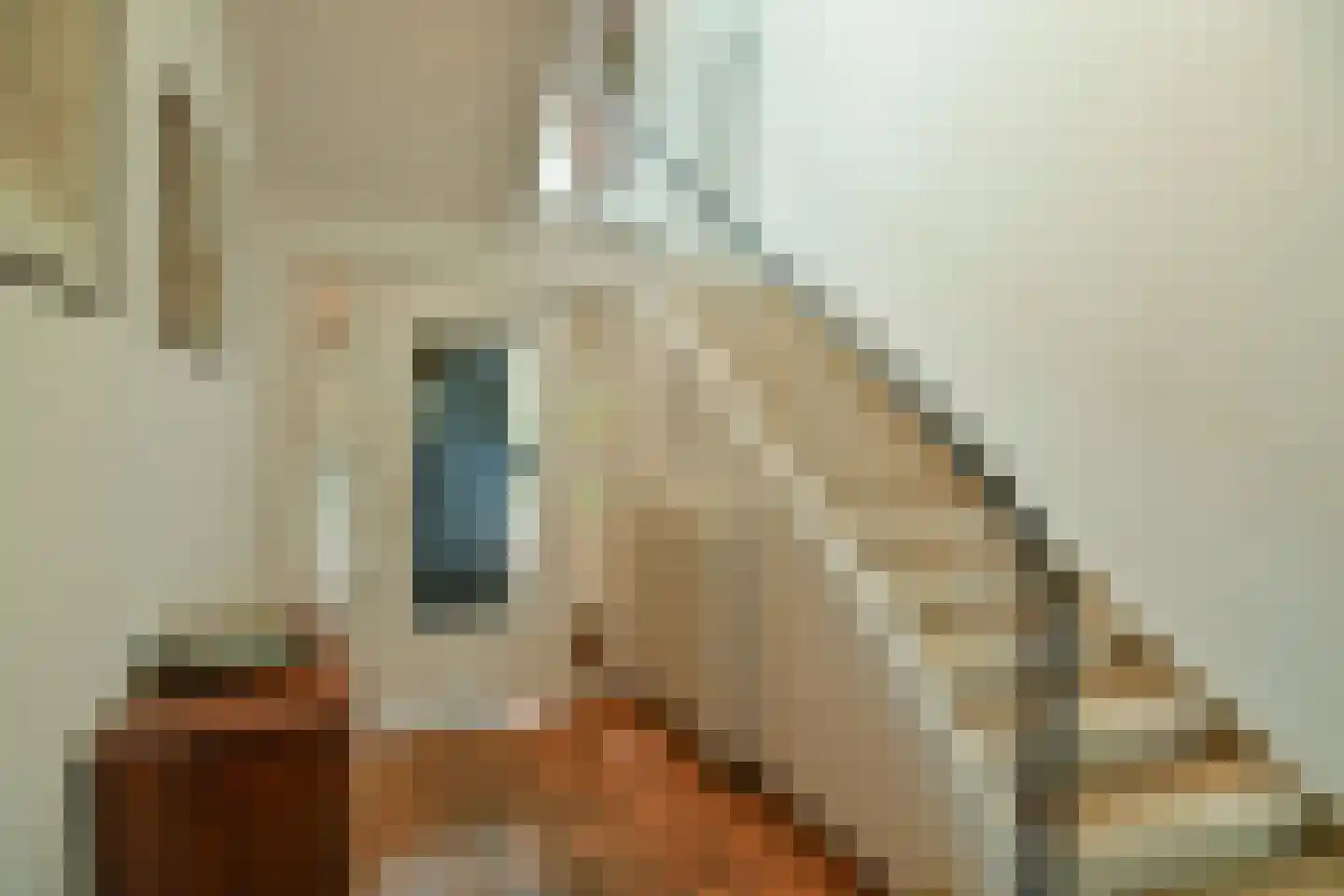 Rembrandtlaan 7 Velp thumbnail 11