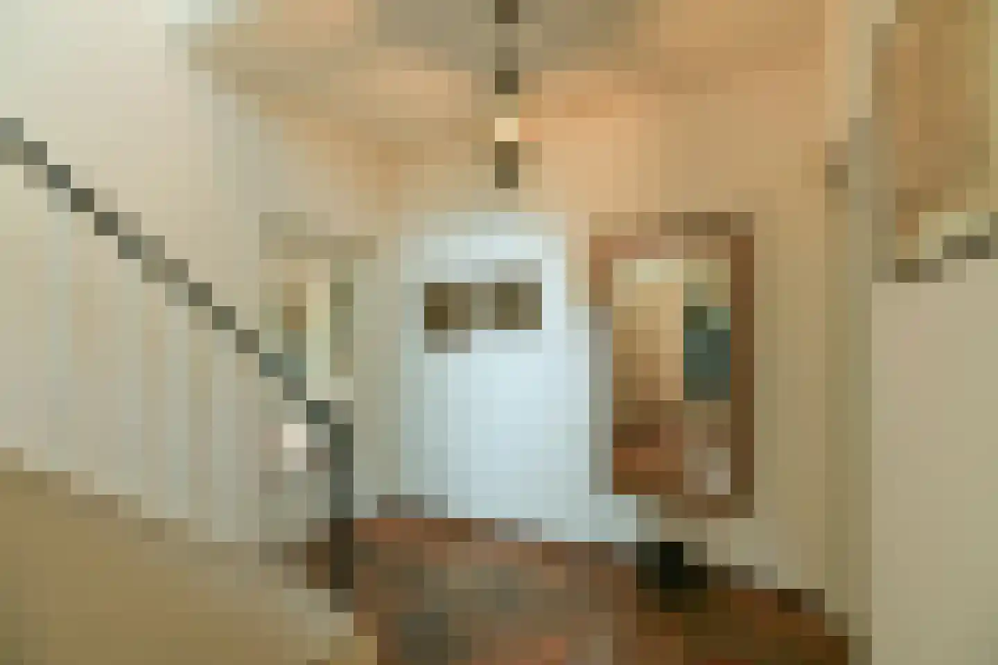 Rembrandtlaan 7 Velp thumbnail 14