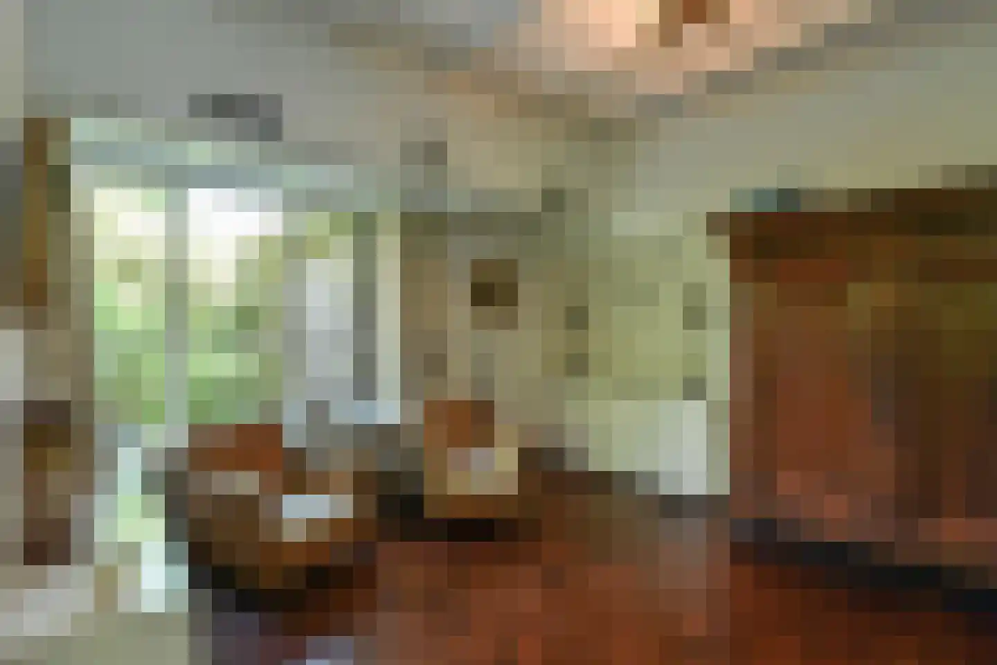 Rembrandtlaan 7 Velp thumbnail 17