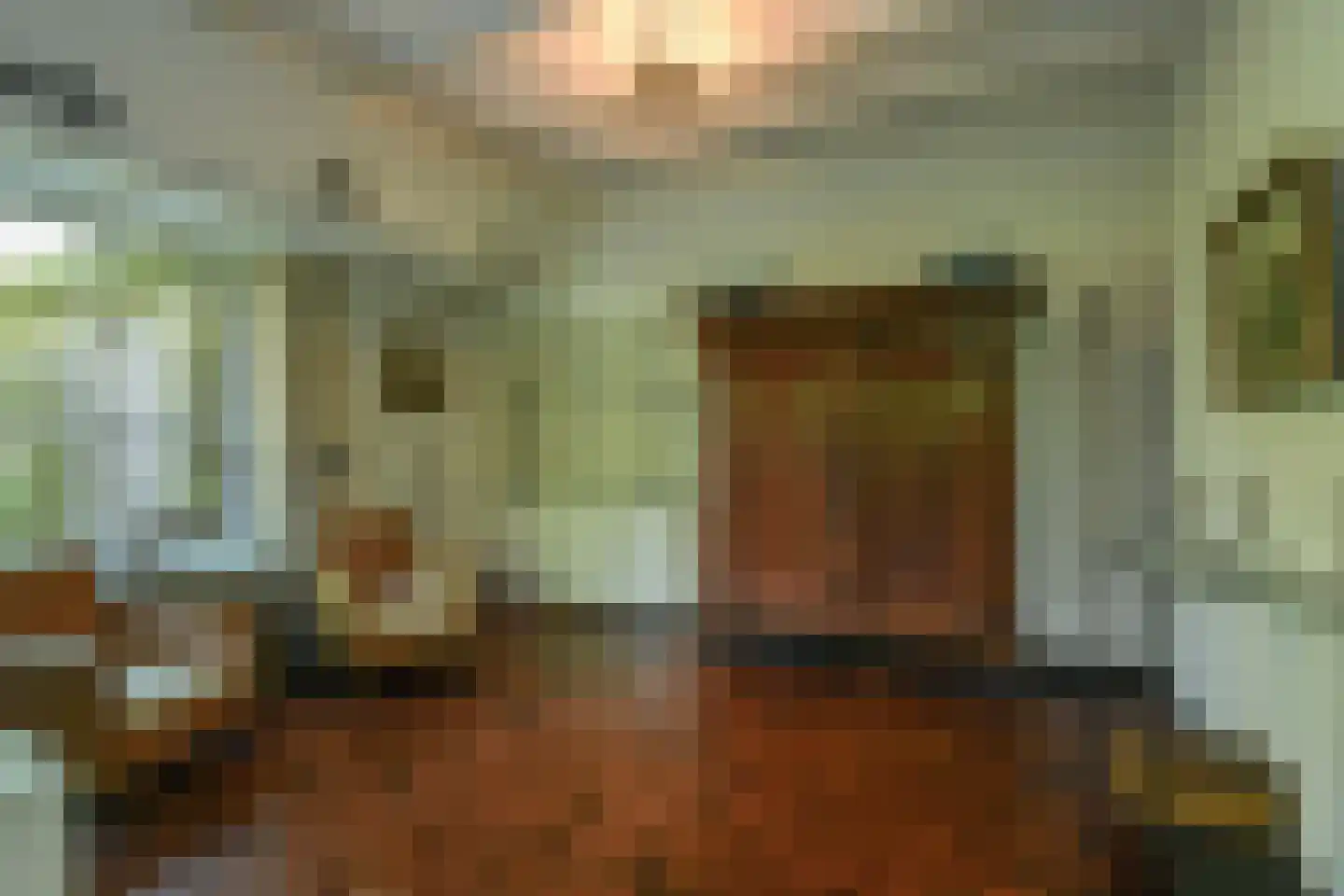 Rembrandtlaan 7 Velp thumbnail 18