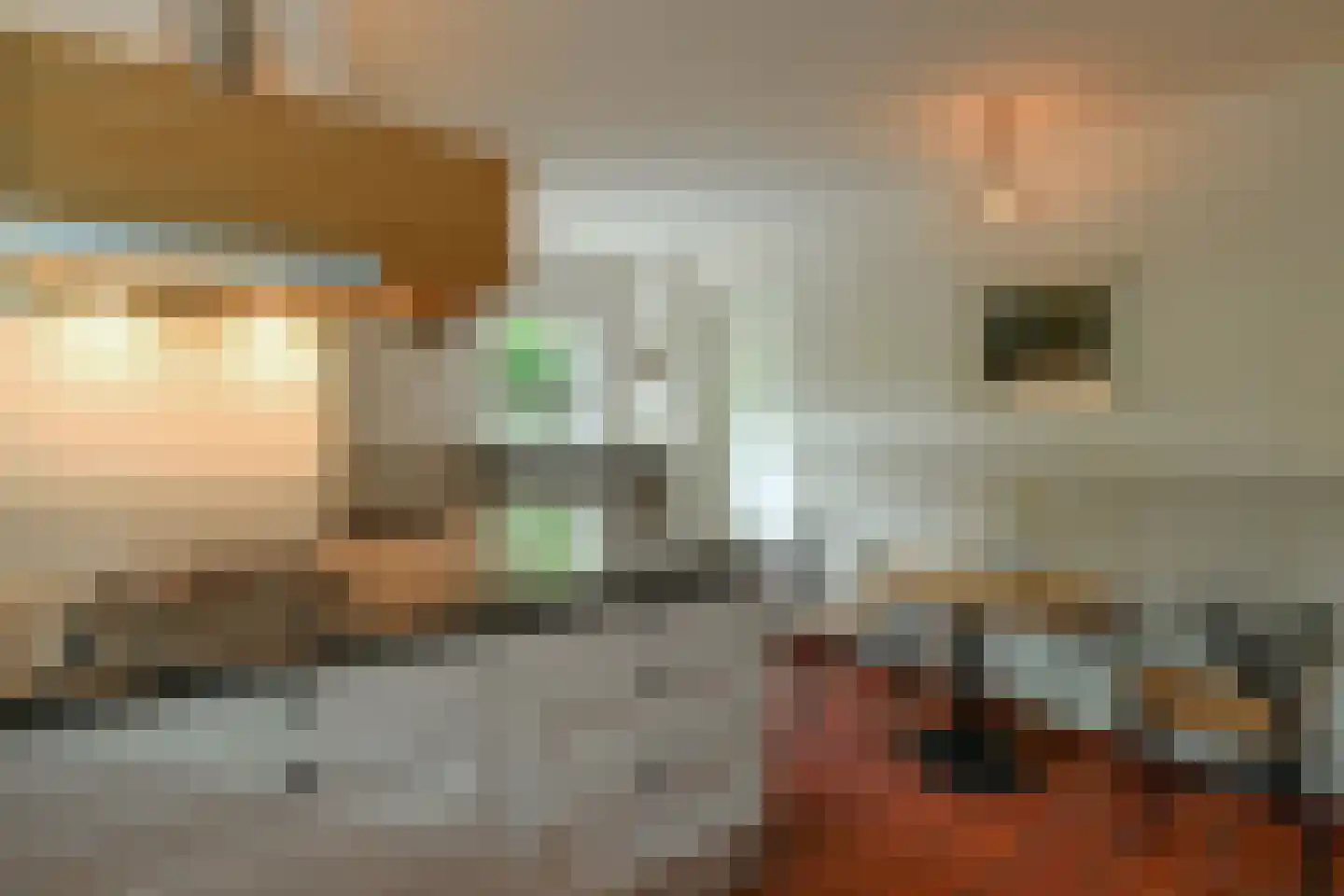 Rembrandtlaan 7 Velp thumbnail 24