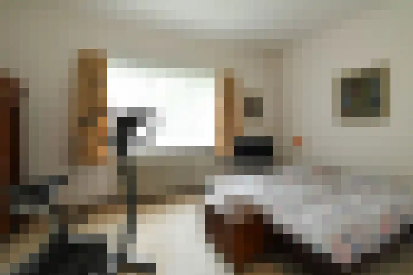 Rembrandtlaan 7 Velp thumbnail 34