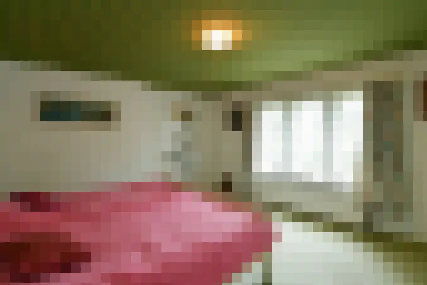 Rembrandtlaan 7 Velp thumbnail 37