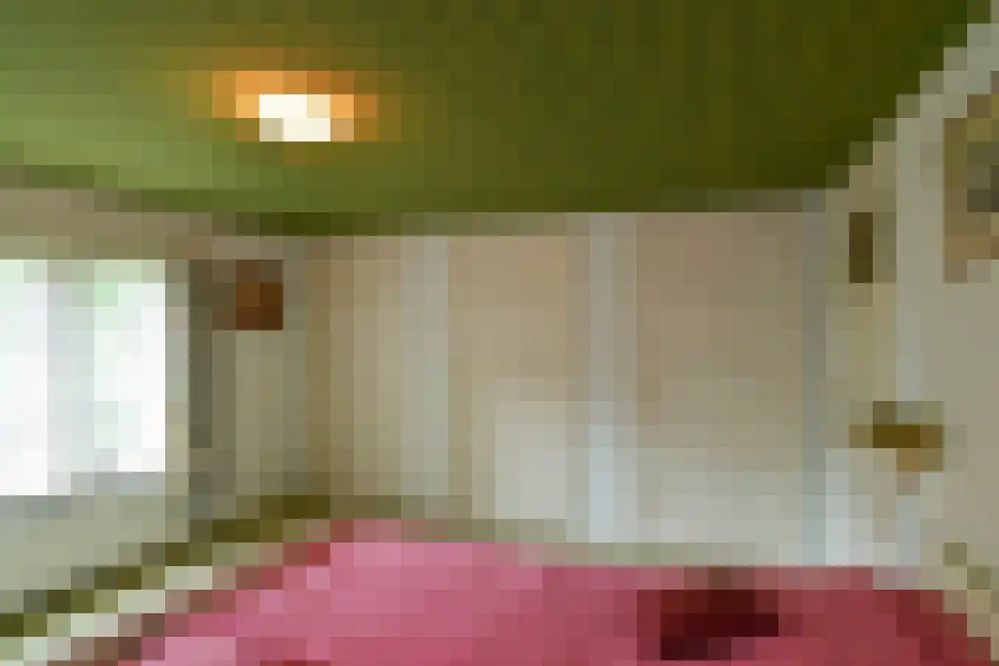 Rembrandtlaan 7 Velp thumbnail 38