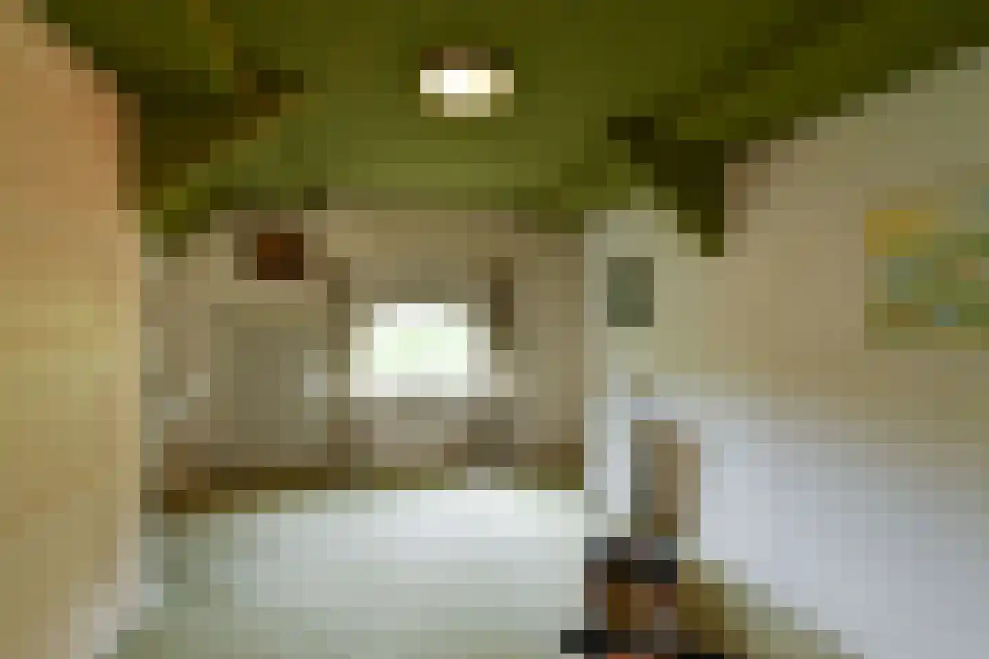 Rembrandtlaan 7 Velp thumbnail 39
