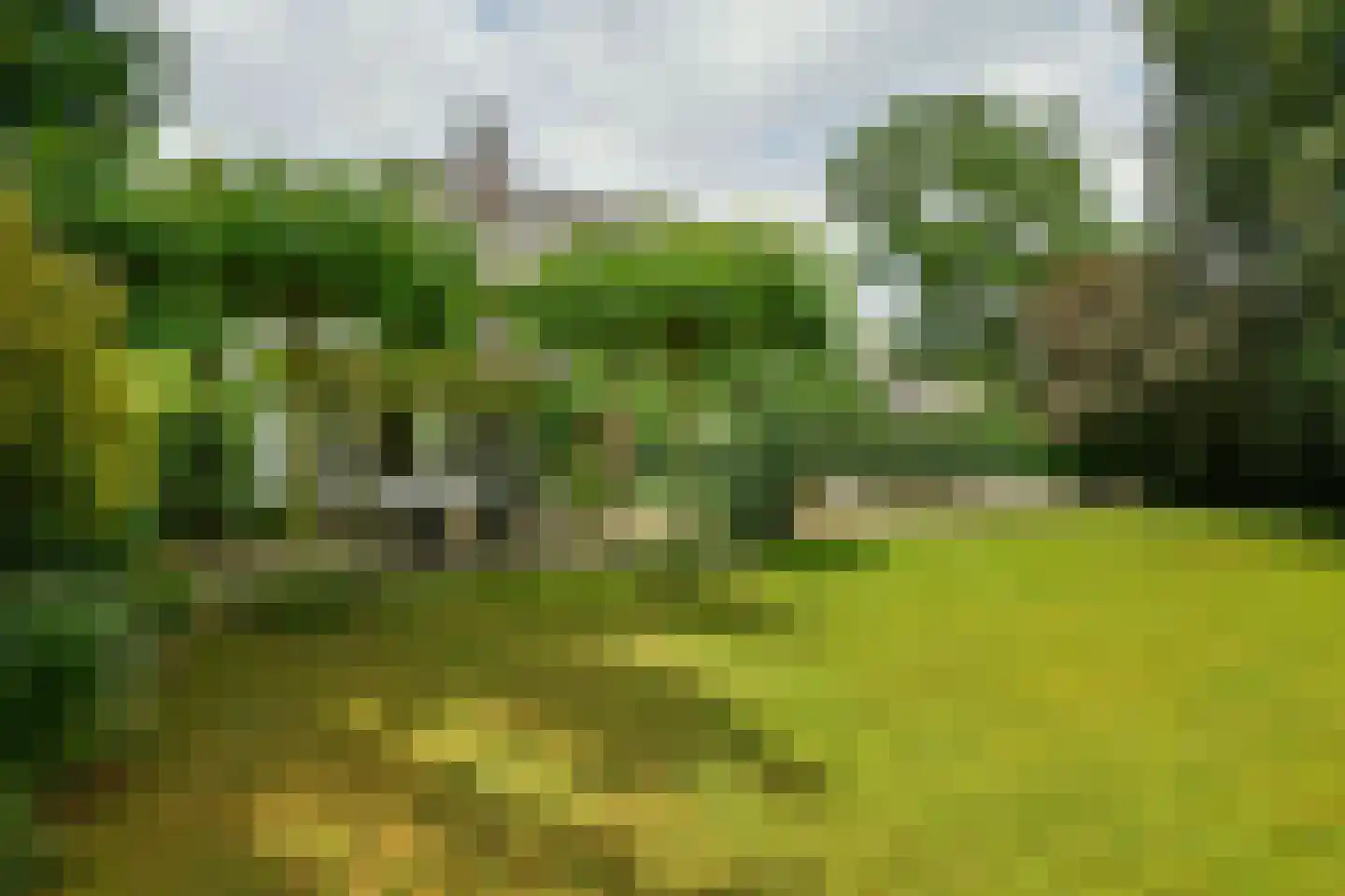 Rembrandtlaan 7 Velp thumbnail 41