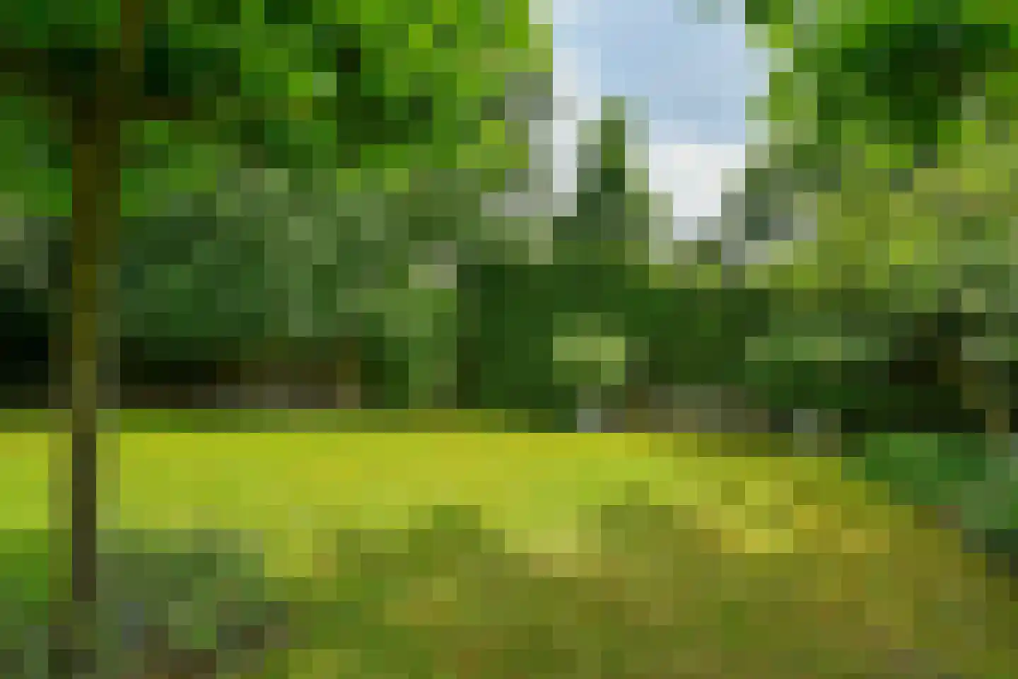 Rembrandtlaan 7 Velp thumbnail 43