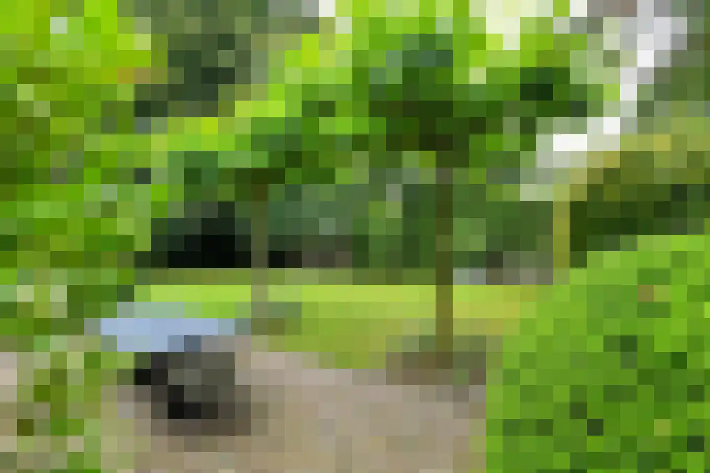 Rembrandtlaan 7 Velp thumbnail 45