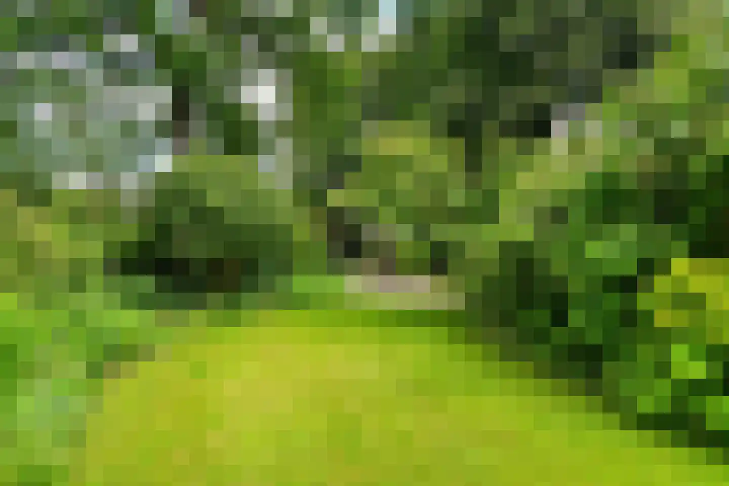 Rembrandtlaan 7 Velp thumbnail 46