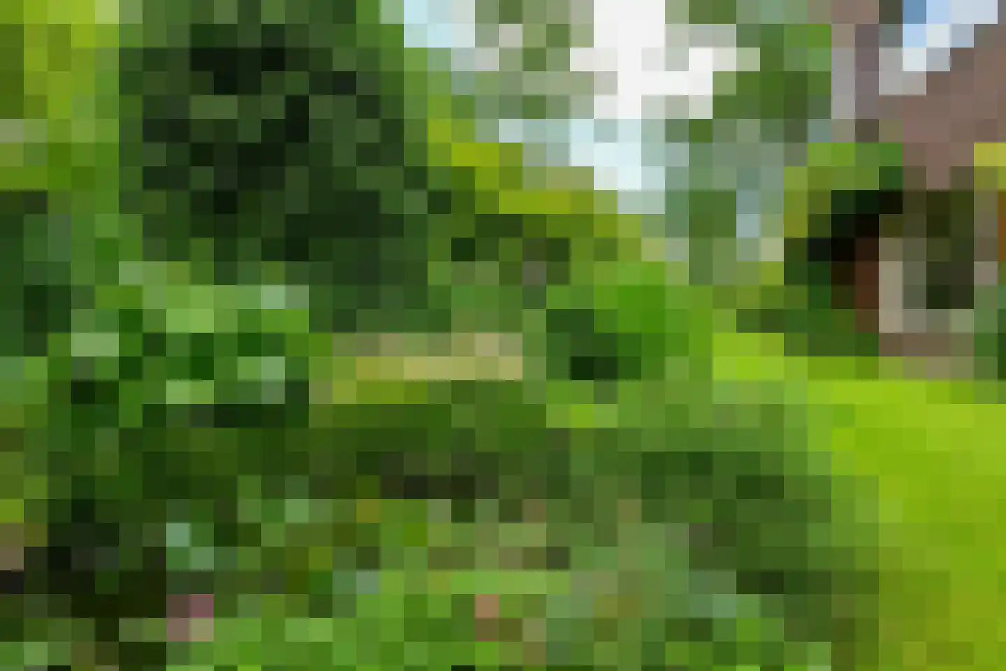 Rembrandtlaan 7 Velp thumbnail 47