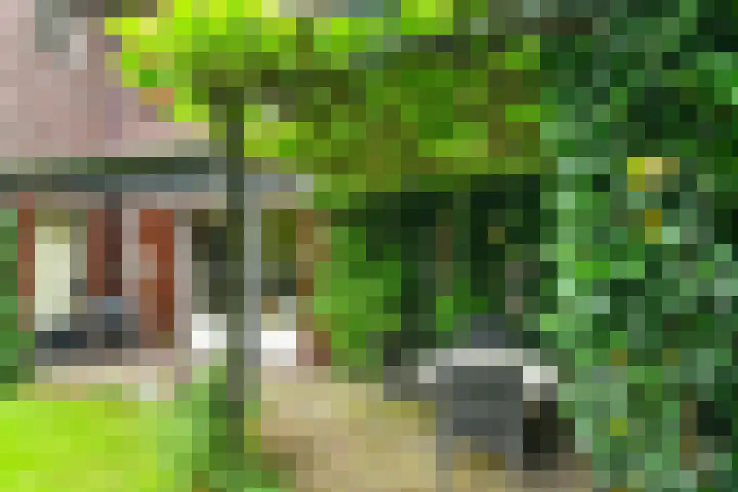 Rembrandtlaan 7 Velp thumbnail 49