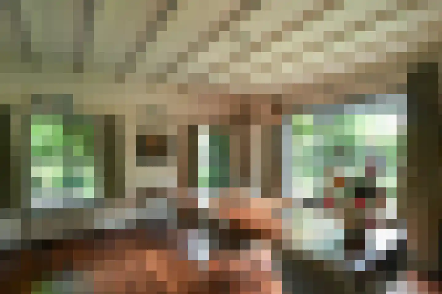 Rembrandtlaan 7 Velp thumbnail 5
