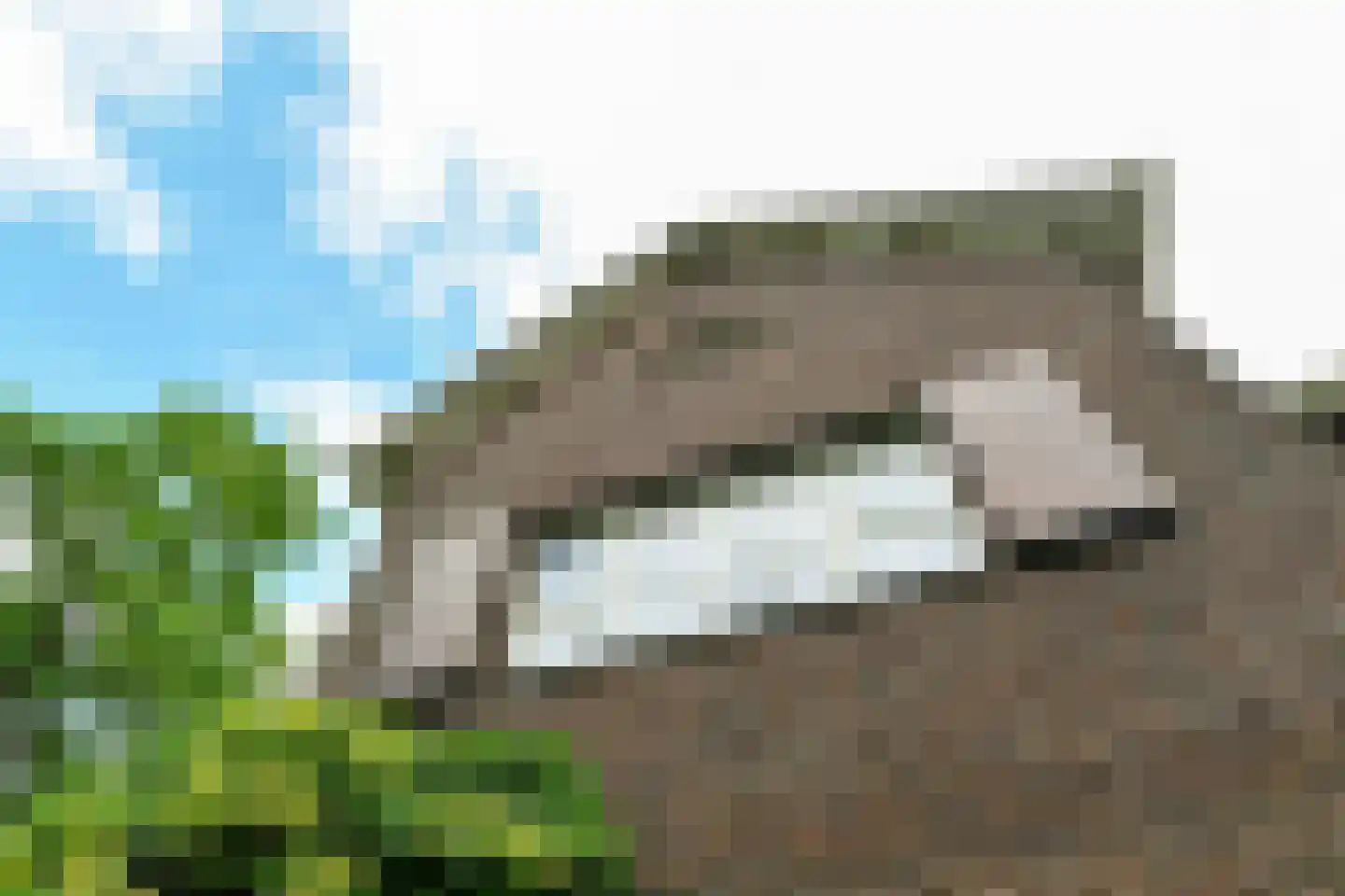 Rembrandtlaan 7 Velp thumbnail 51