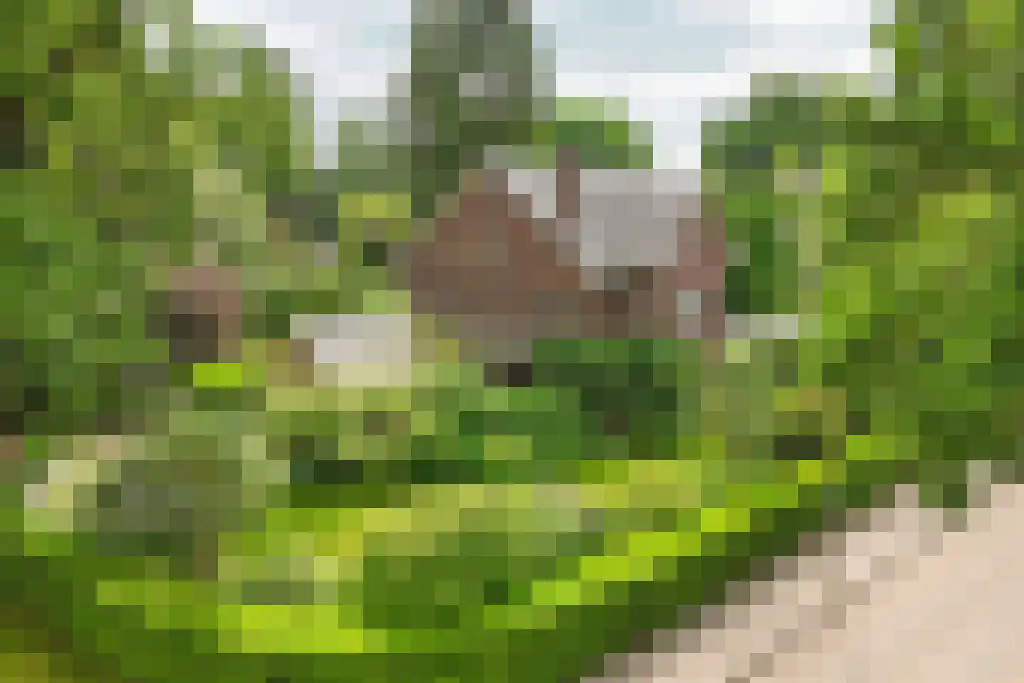 Rembrandtlaan 7 Velp thumbnail 52