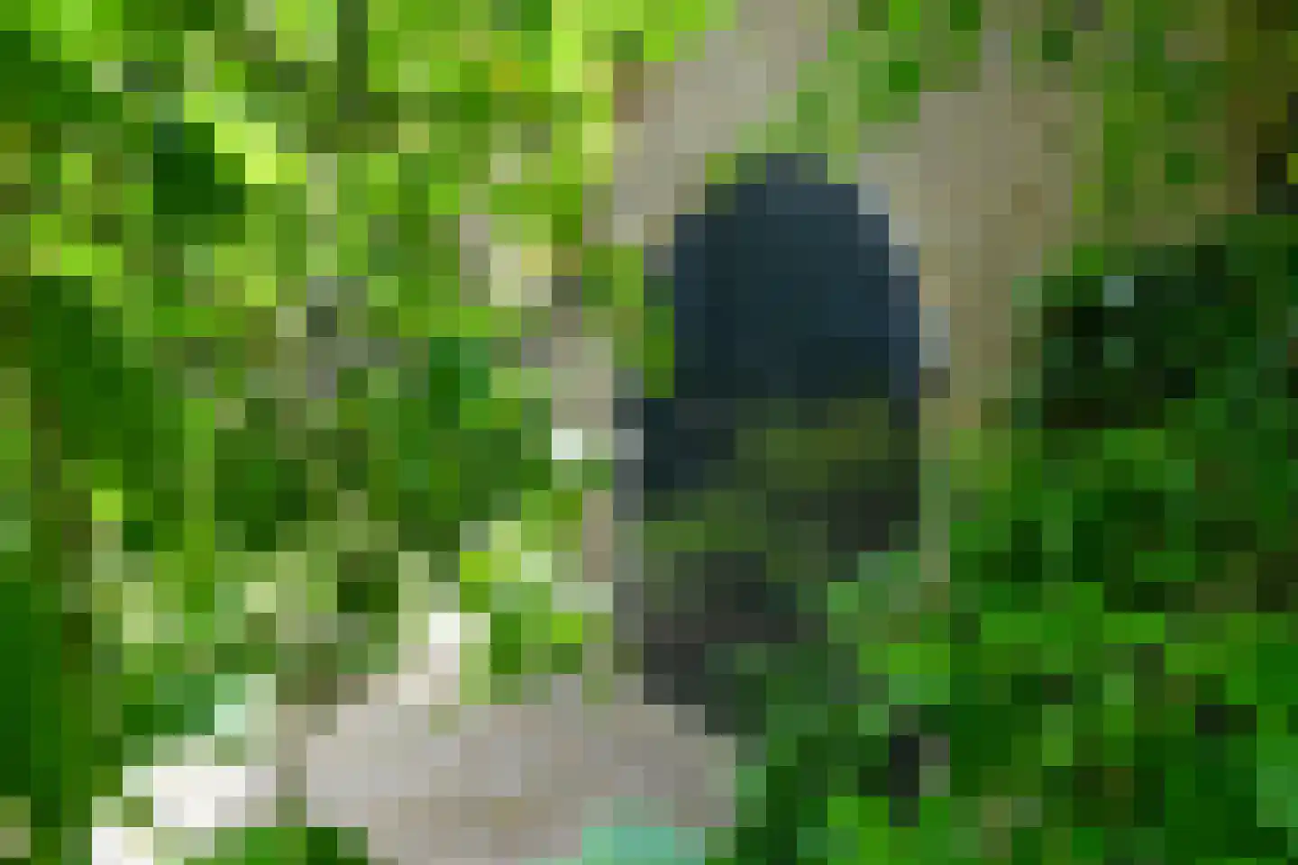 Rembrandtlaan 7 Velp thumbnail 9