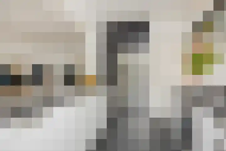 Rembrandtlaan 7 Vught thumbnail 13