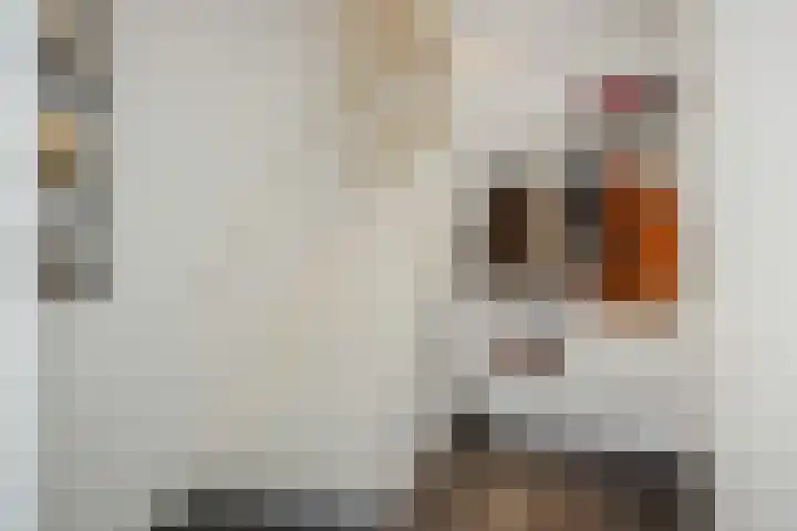 Rembrandtlaan 7 Vught thumbnail 16