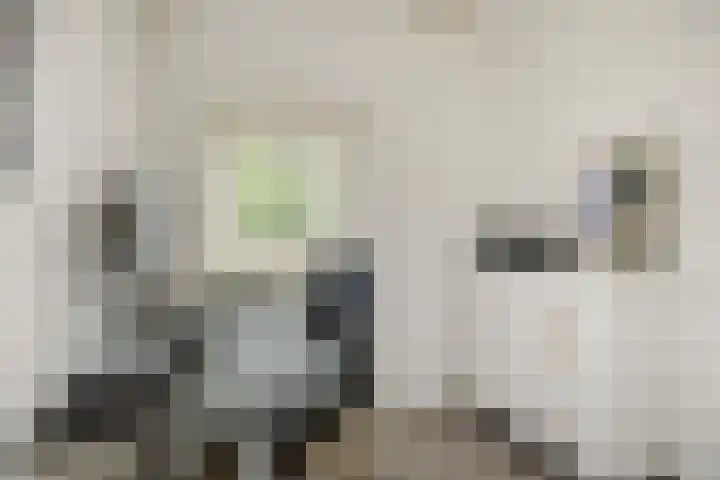 Rembrandtlaan 7 Vught thumbnail 22