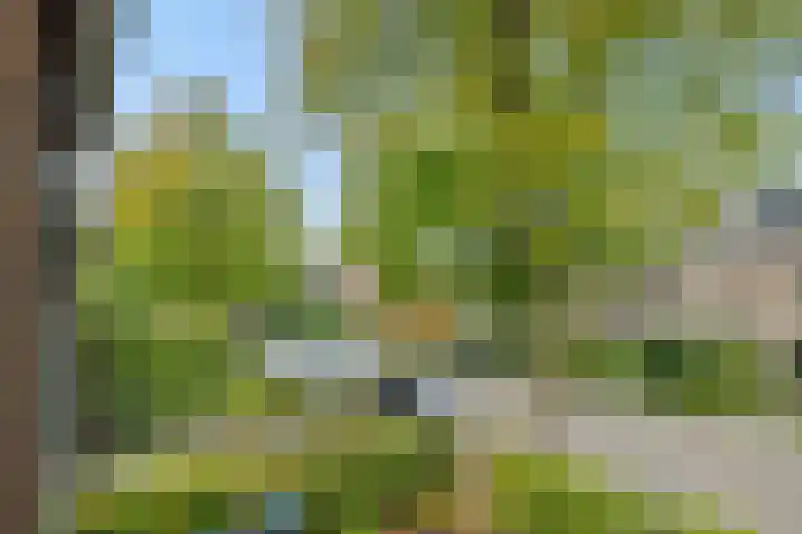 Rembrandtlaan 7 Vught thumbnail 24