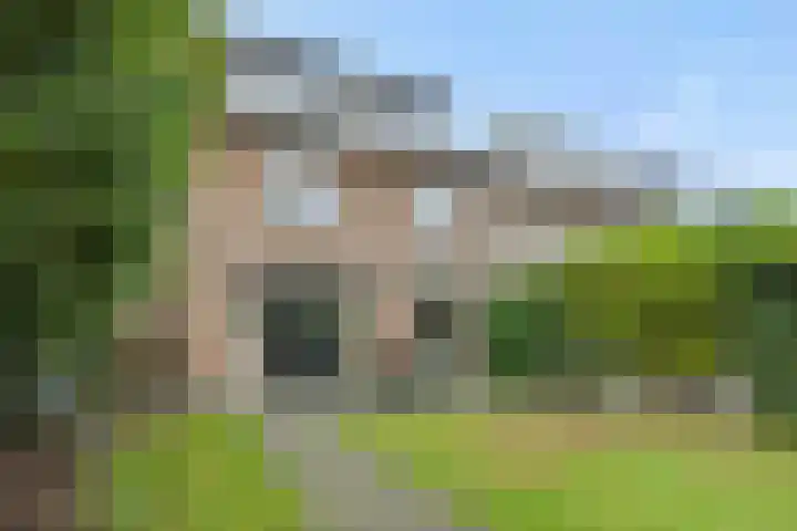 Rembrandtlaan 7 Vught thumbnail 34
