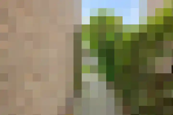 Rembrandtlaan 7 Vught thumbnail 35