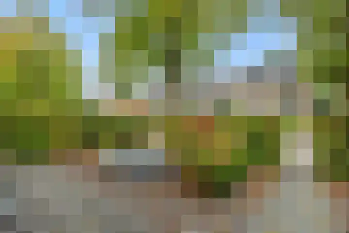 Rembrandtlaan 7 Vught thumbnail 36