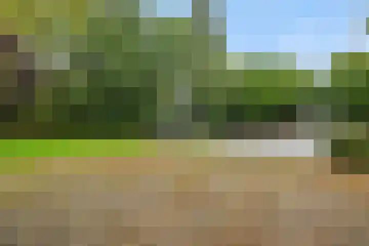 Rembrandtlaan 7 Vught thumbnail 40