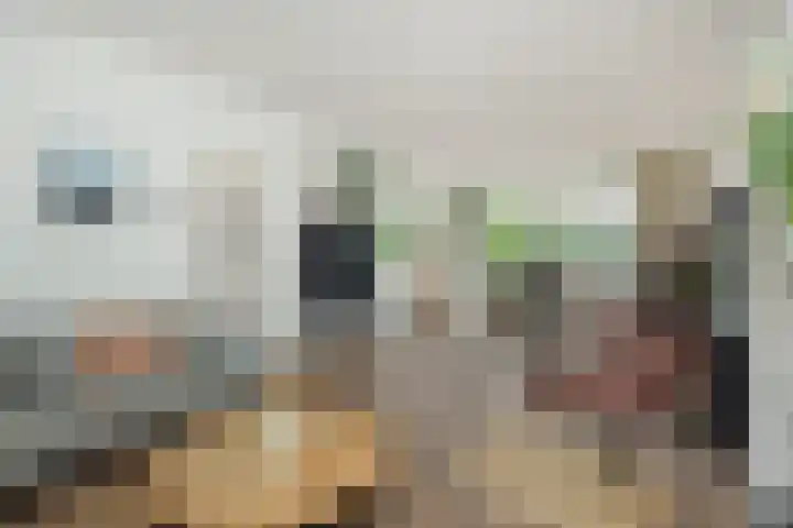 Rembrandtlaan 7 Vught thumbnail 5