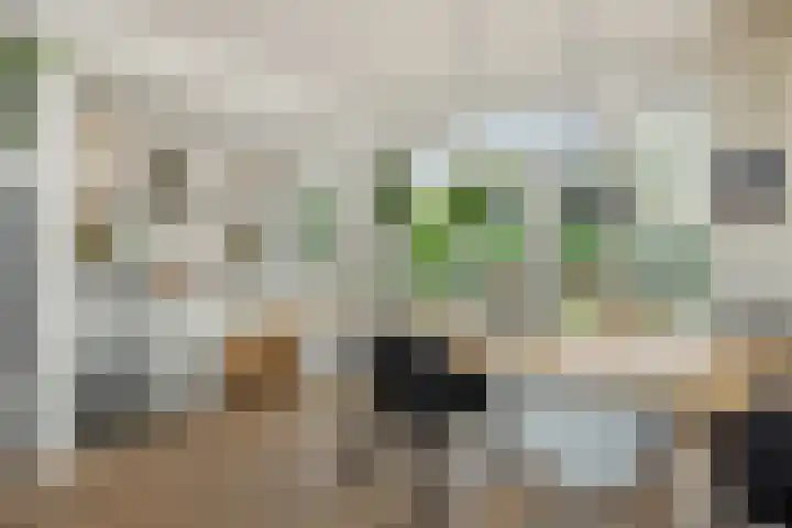 Rembrandtlaan 7 Vught thumbnail 7