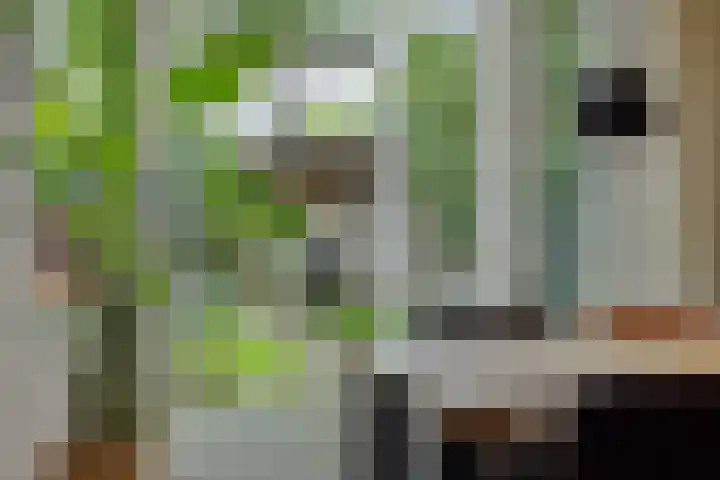 Rembrandtlaan 7 Vught thumbnail 9
