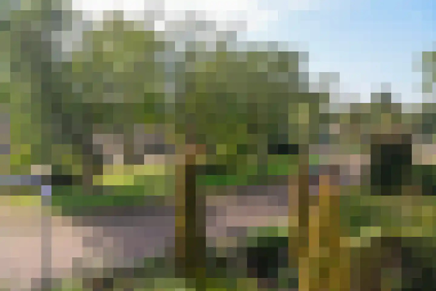 Rembrandtlaan 70 a Huizen thumbnail 9