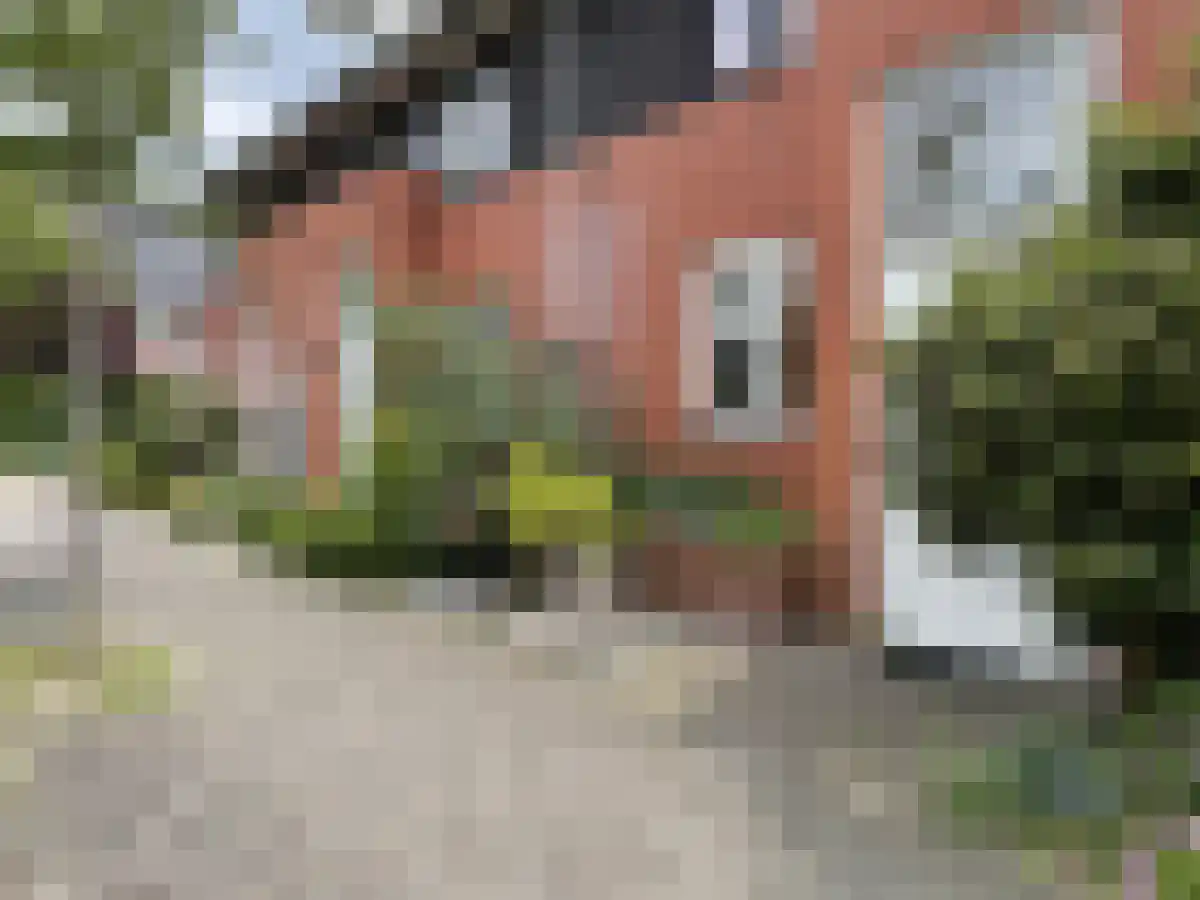Rembrandtlaan 70 Sassenheim thumbnail 4