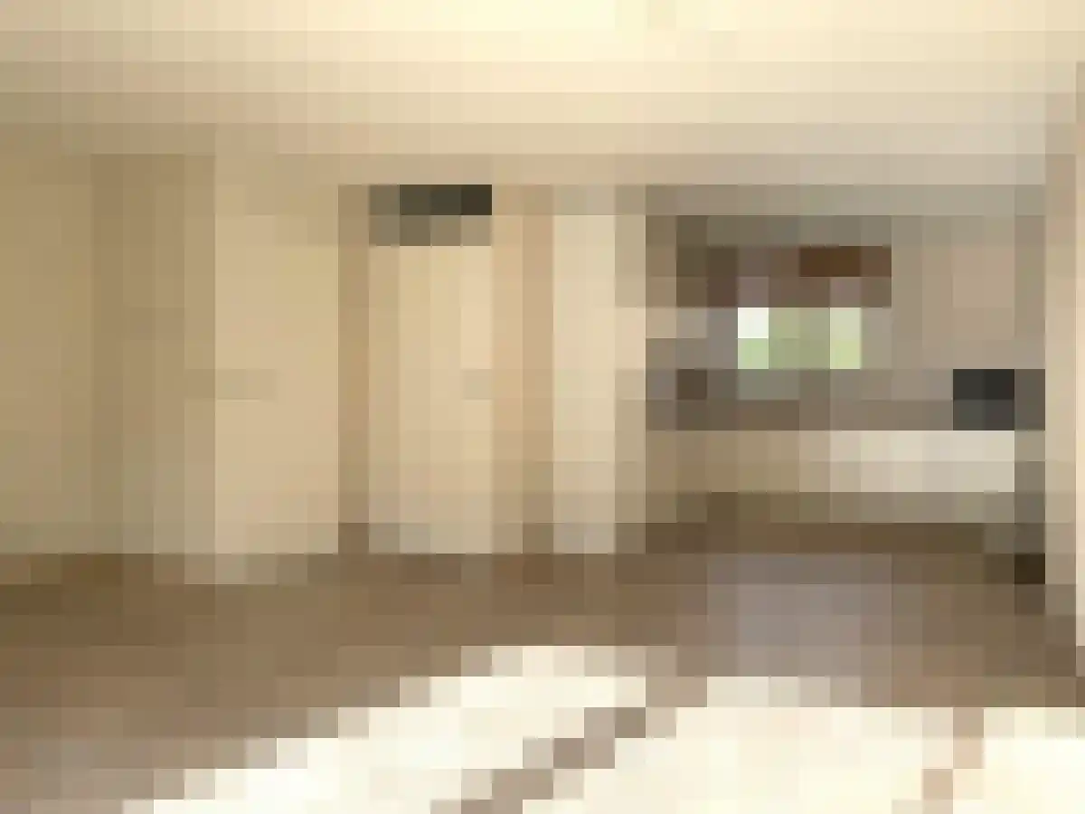 Rembrandtlaan 70 Sassenheim thumbnail 4