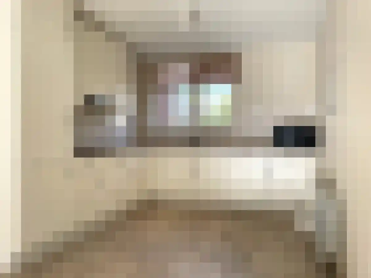 Rembrandtlaan 70 Sassenheim thumbnail 5