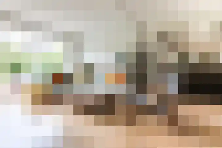 Rembrandtlaan 71 Bergschenhoek thumbnail 10
