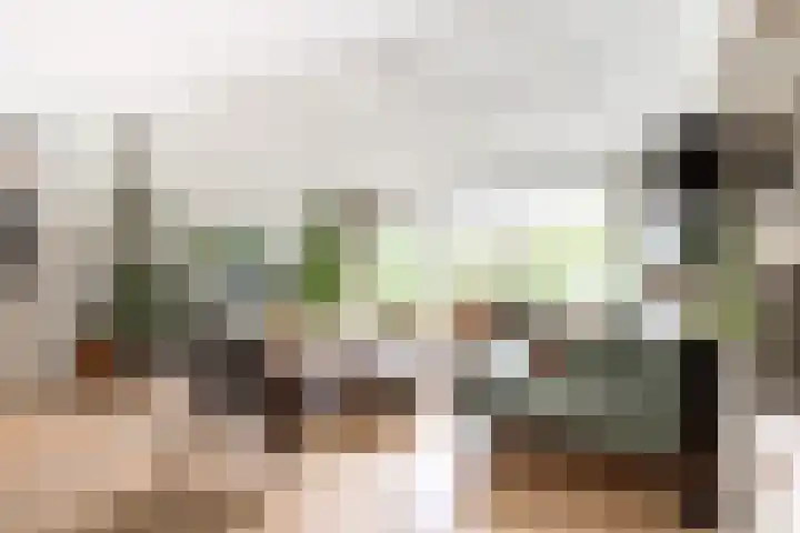 Rembrandtlaan 71 Bergschenhoek thumbnail 11