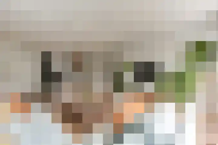 Rembrandtlaan 71 Bergschenhoek thumbnail 13
