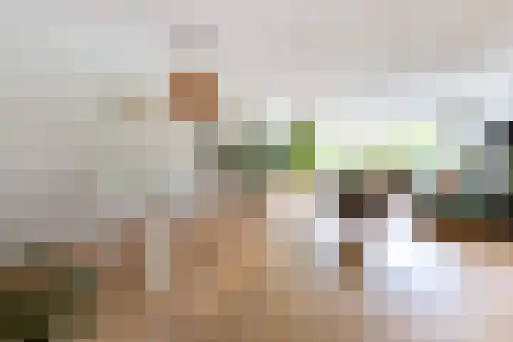 Rembrandtlaan 71 Bergschenhoek thumbnail 14